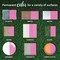 COLORSHOT Gloss Spray Paint Farmer&#x27;&#x27;s Daughter (Pink) 10 oz. 4 Pack
